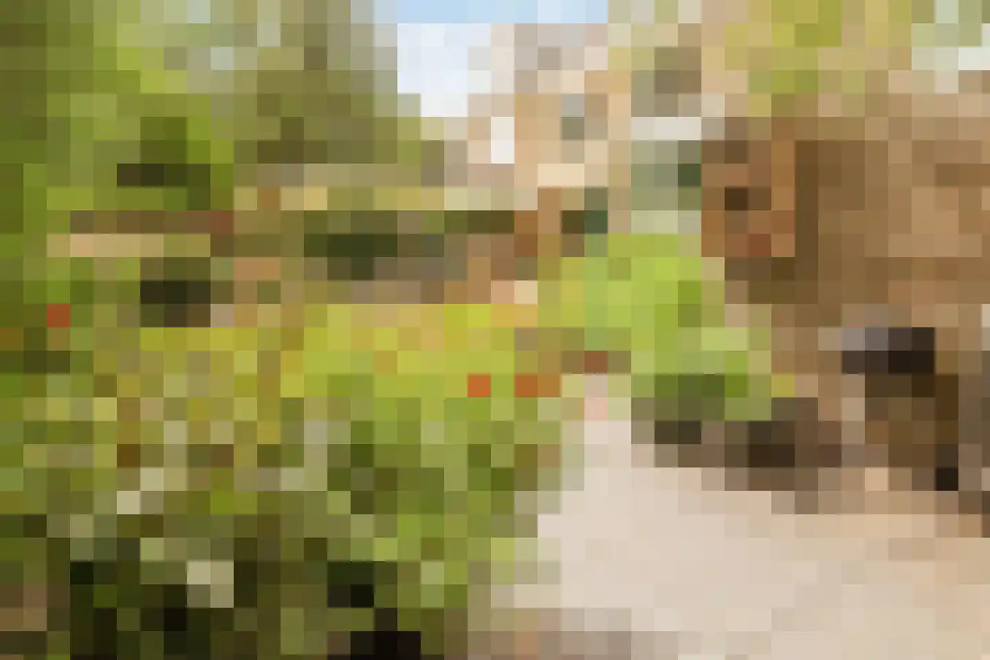 's-Gravensingel 20 Rotterdam thumbnail 14