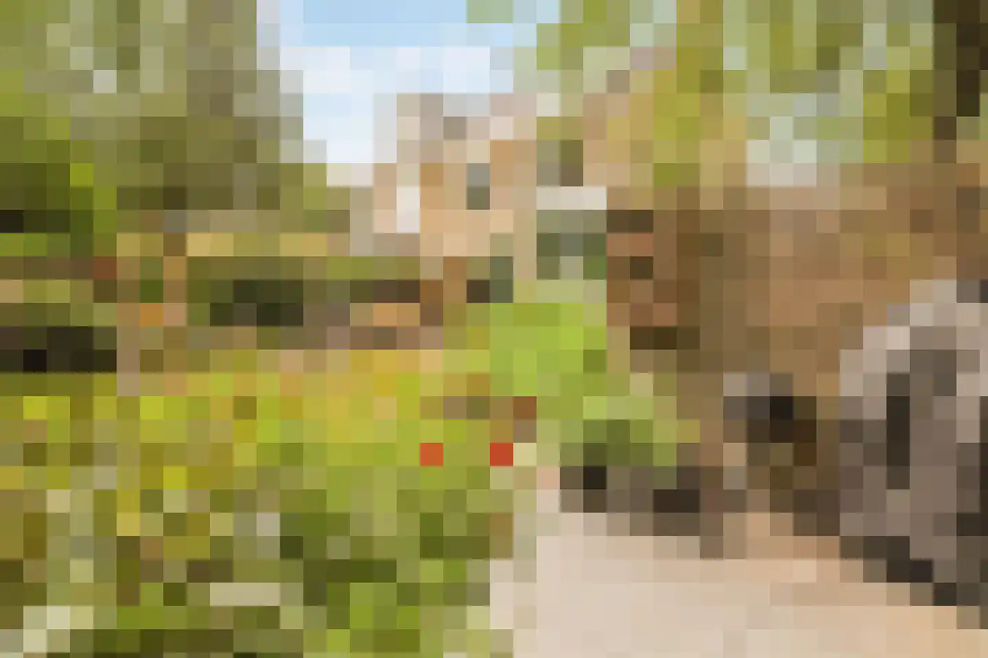 's-Gravensingel 20 Rotterdam thumbnail 18