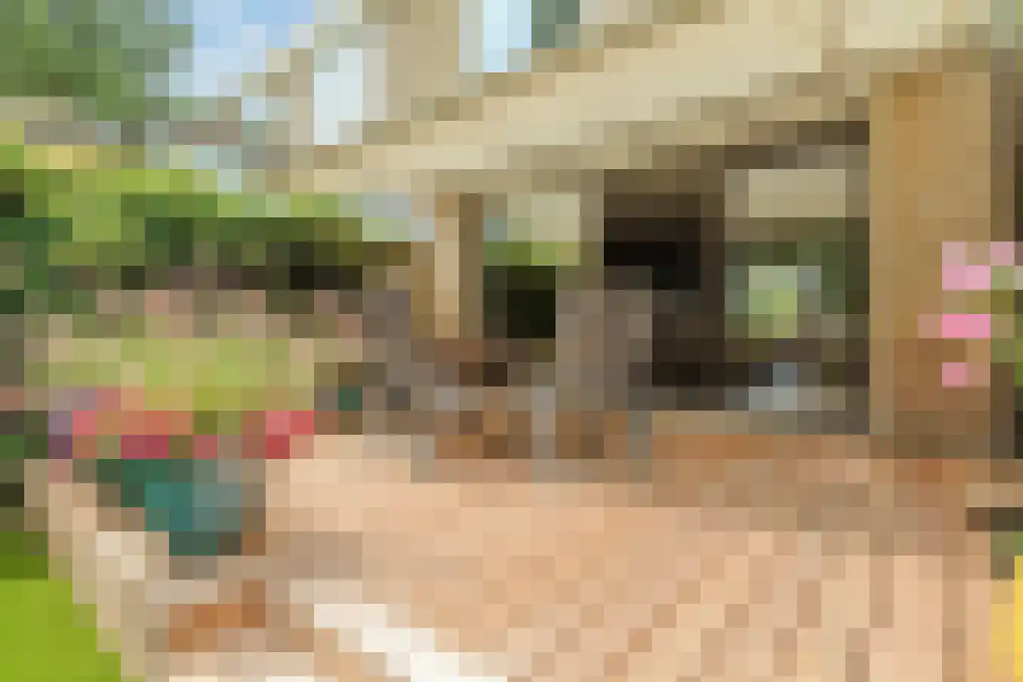 's-Gravensingel 20 Rotterdam thumbnail 19