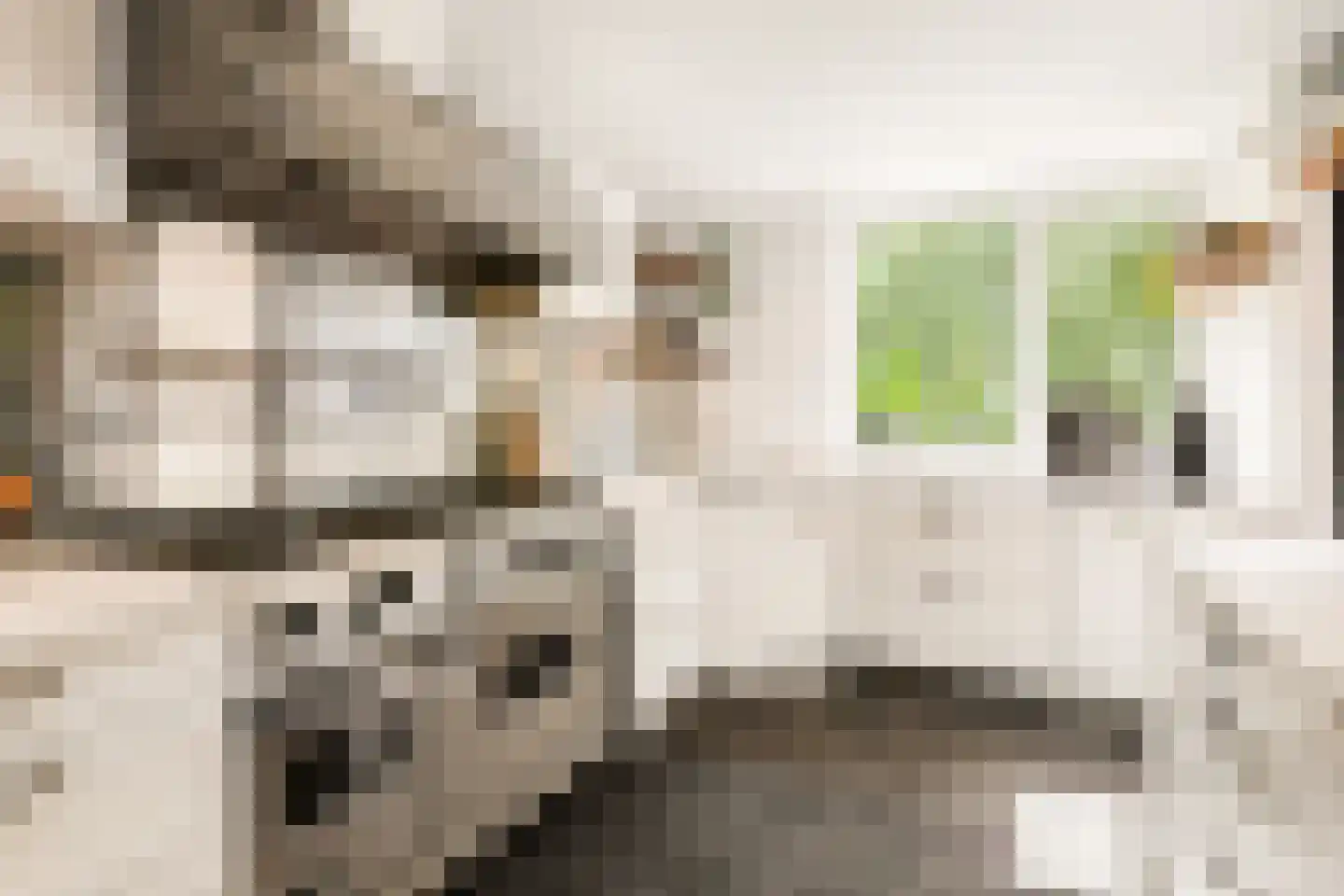 's-Gravensingel 20 Rotterdam thumbnail 26