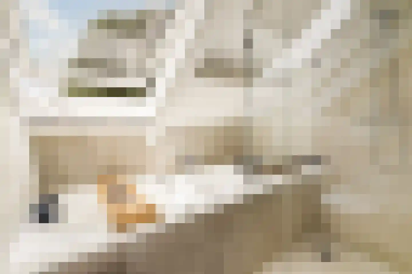 's-Gravensingel 20 Rotterdam thumbnail 42
