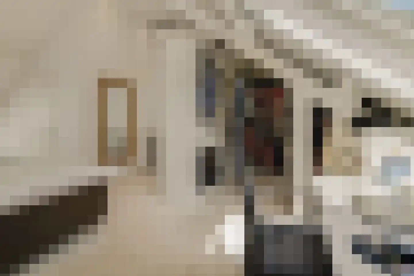 's-Gravensingel 20 Rotterdam thumbnail 47