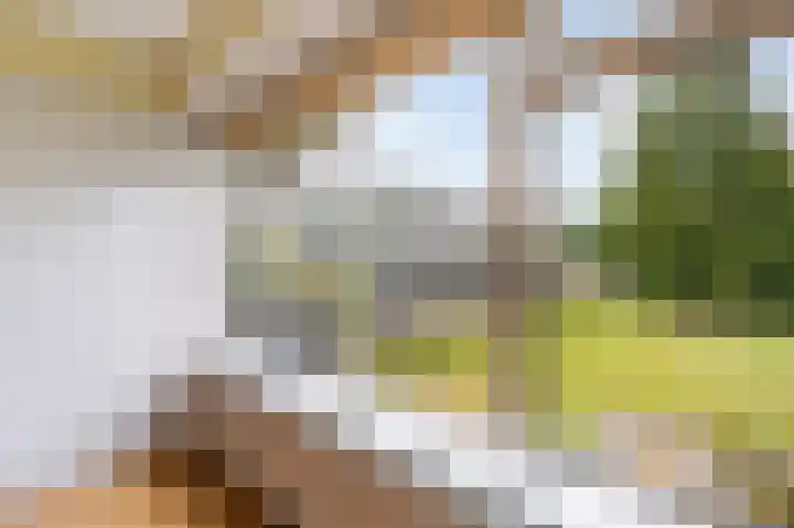 's-Gravensingel 27 Rotterdam thumbnail 10