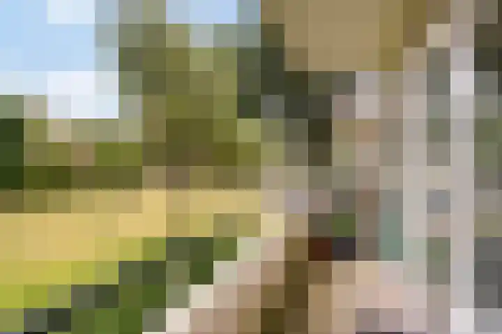 's-Gravensingel 27 Rotterdam thumbnail 24