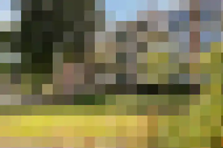 's-Gravensingel 27 Rotterdam thumbnail 45
