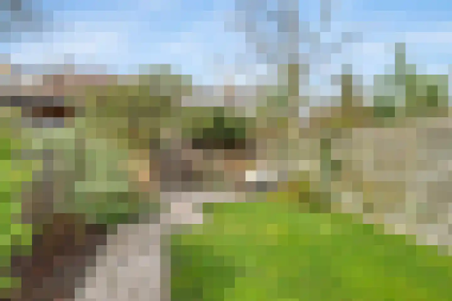 's-Gravensingel 5 Rotterdam thumbnail 19