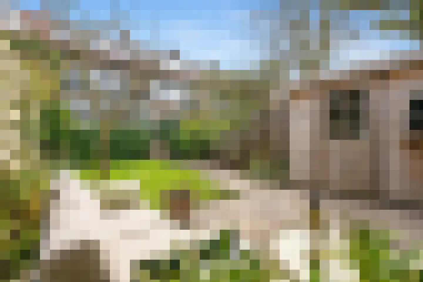 's-Gravensingel 5 Rotterdam thumbnail 21
