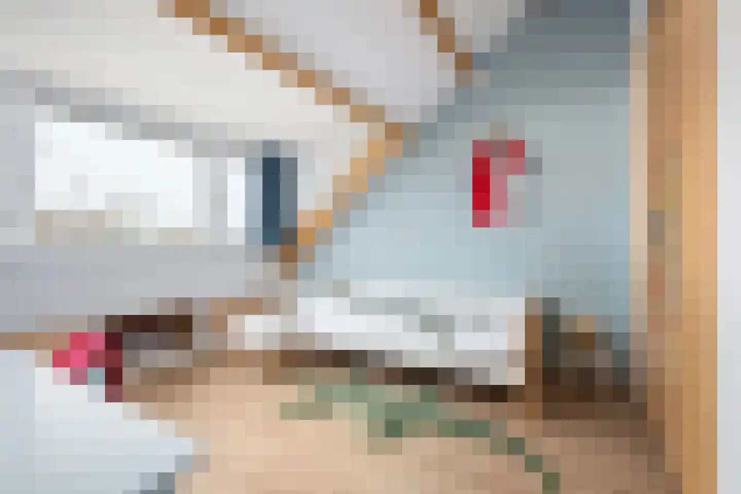 's-Gravensingel 5 Rotterdam thumbnail 33