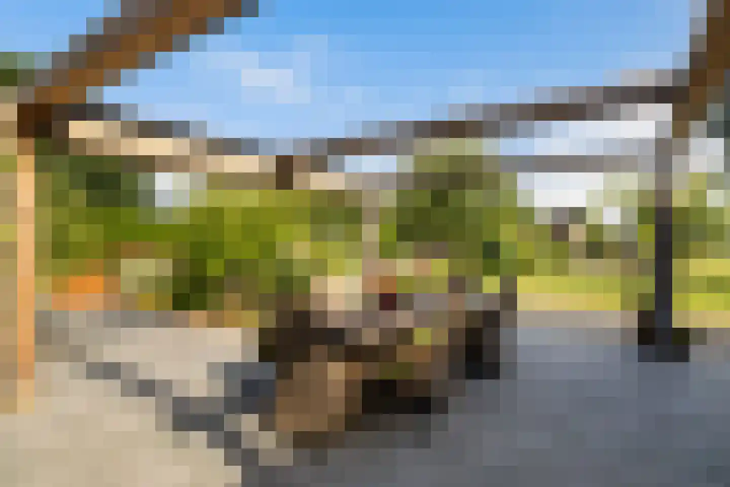 's-Gravensloot 20 Kamerik thumbnail 25