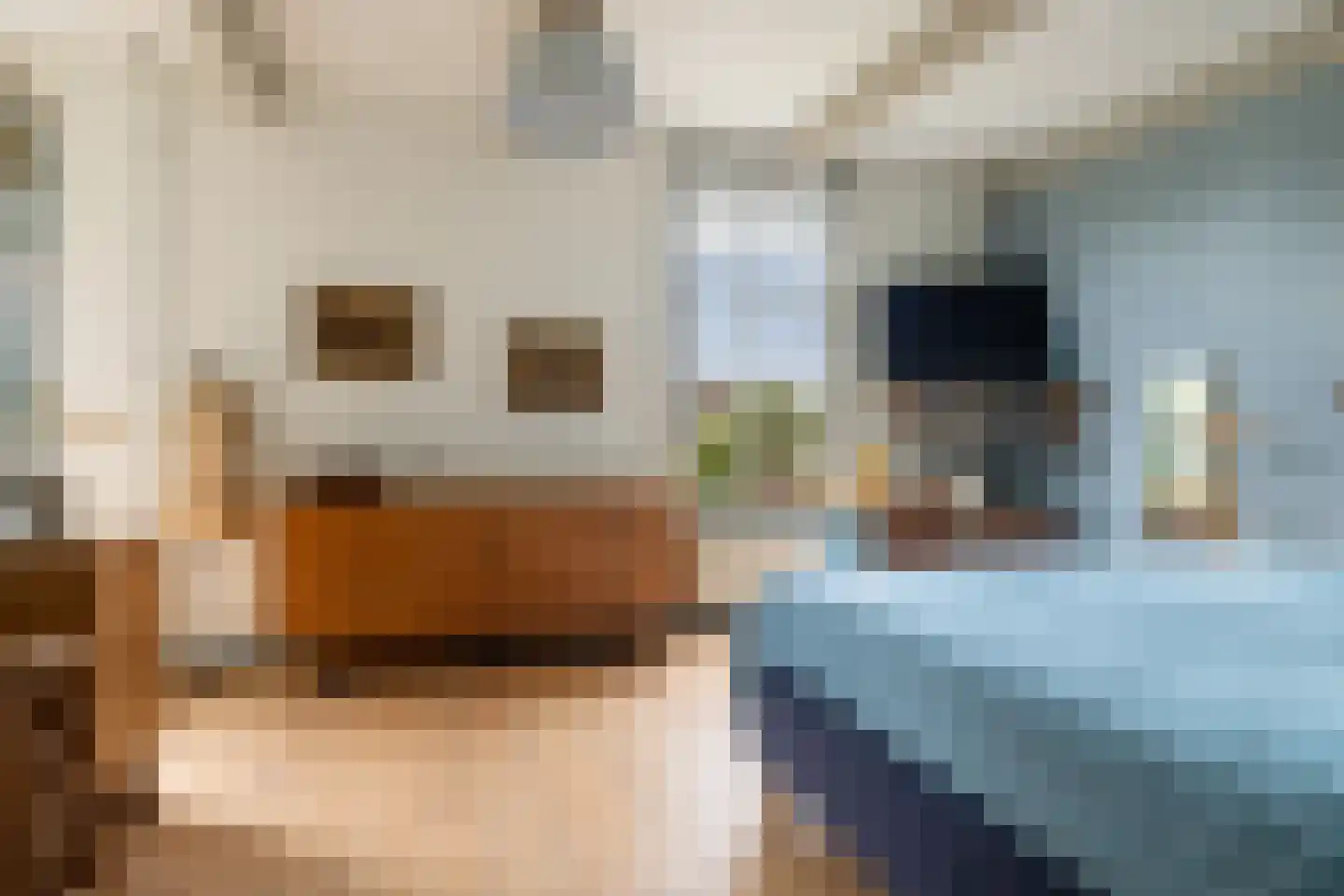 's-Gravensloot 20 Kamerik thumbnail 41