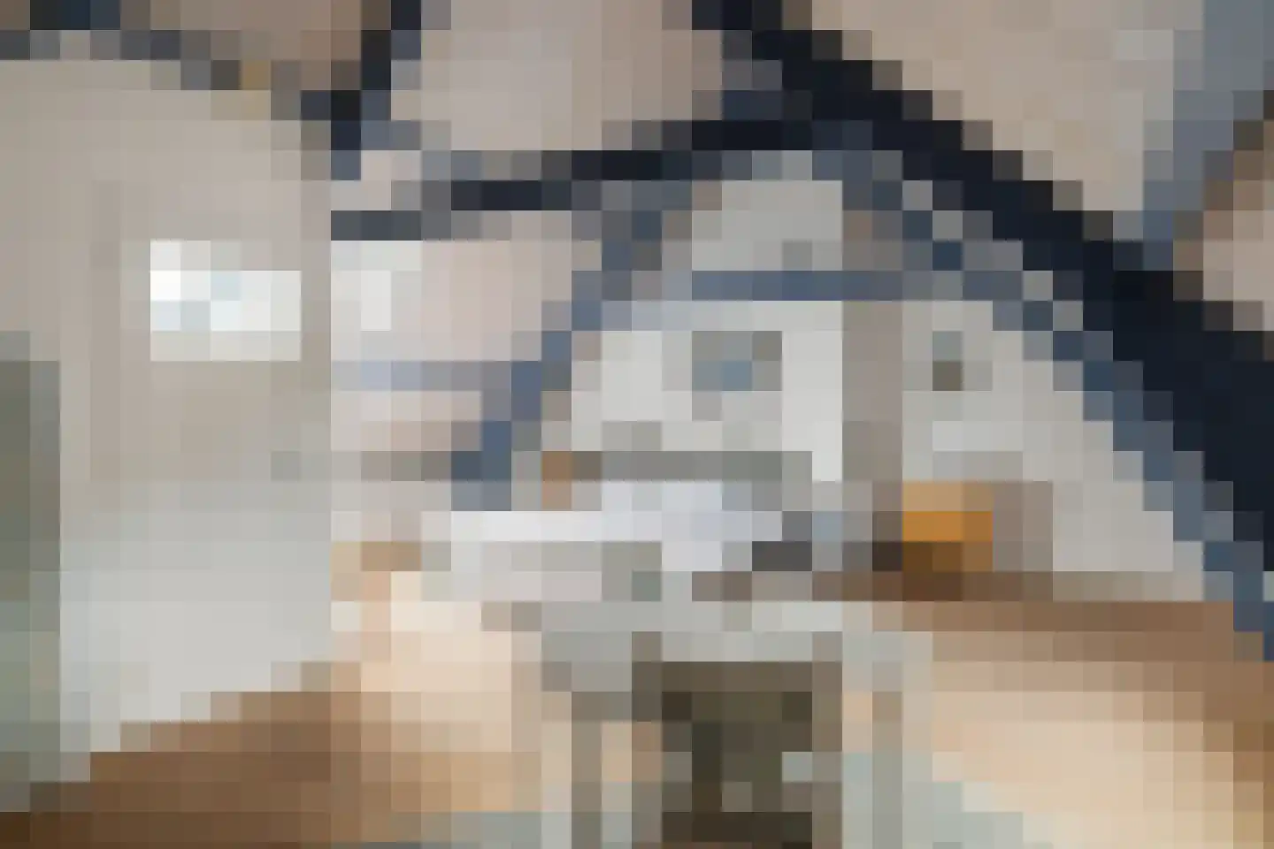 's-Gravensloot 20 Kamerik thumbnail 51