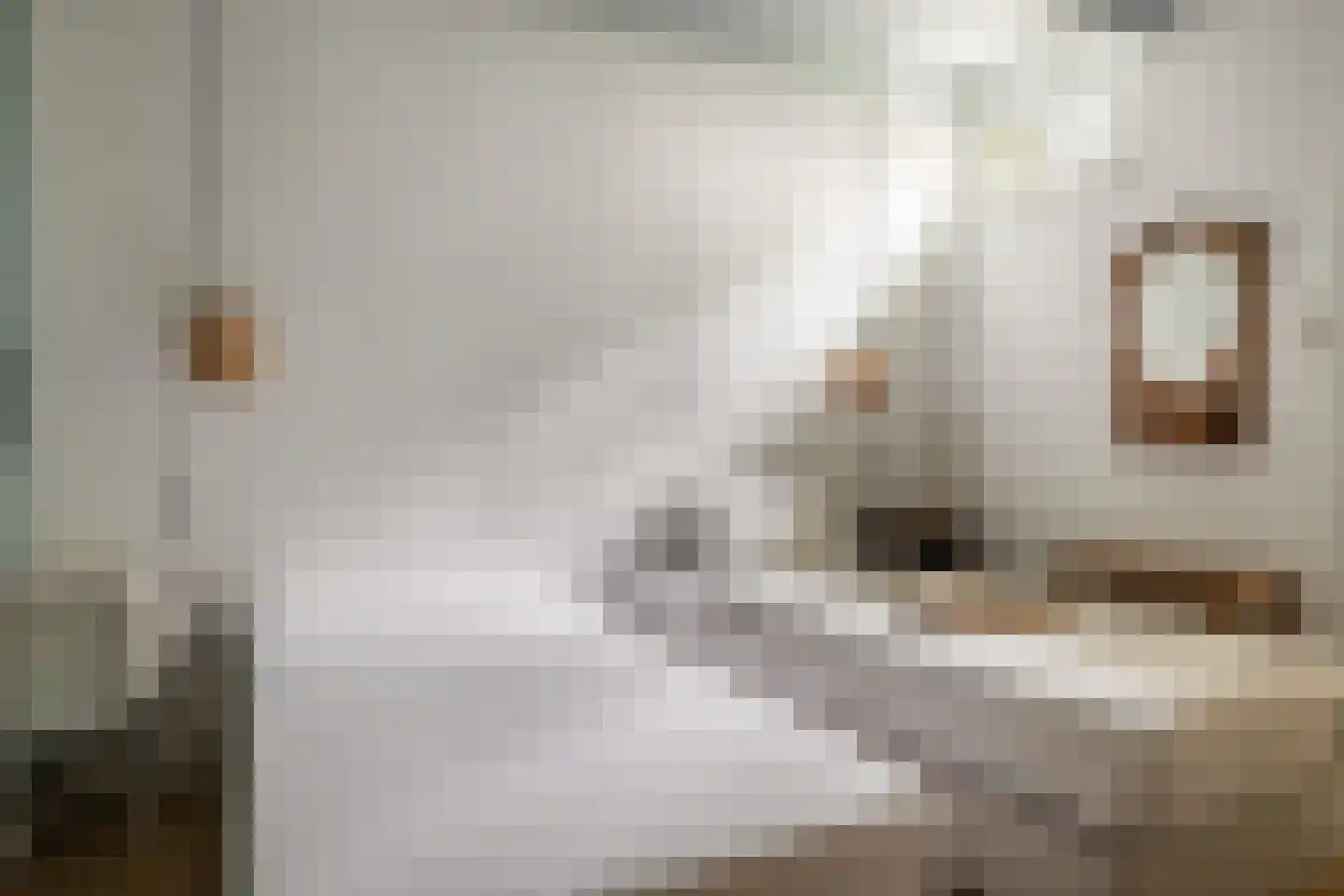 's-Gravensloot 20 Kamerik thumbnail 63