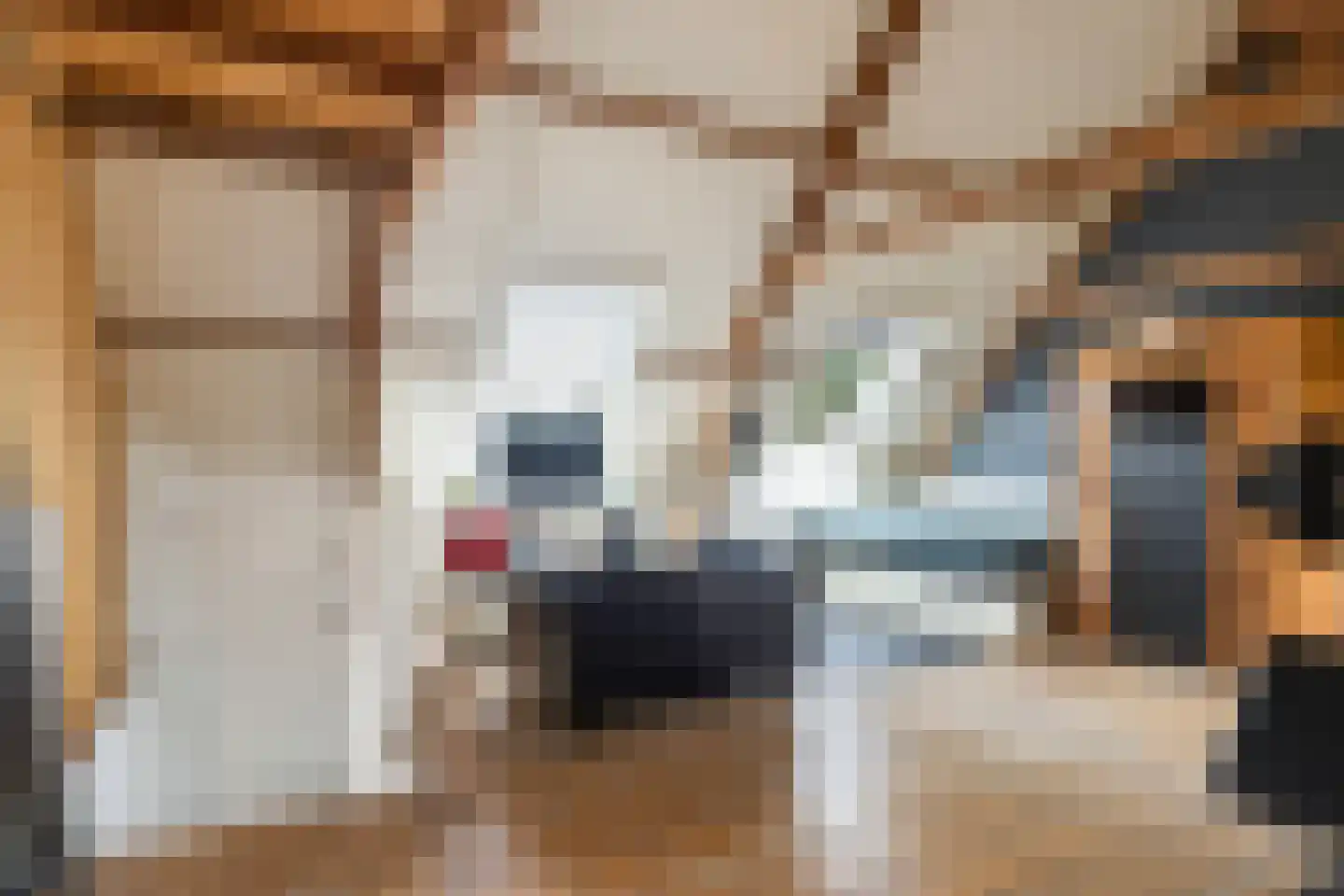 's-Gravensloot 20 Kamerik thumbnail 76