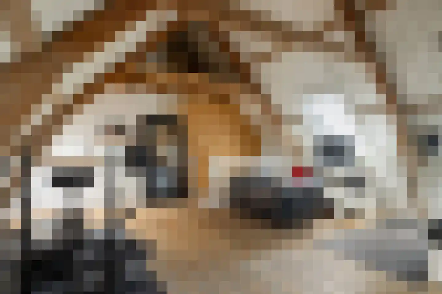 's-Gravensloot 20 Kamerik thumbnail 77