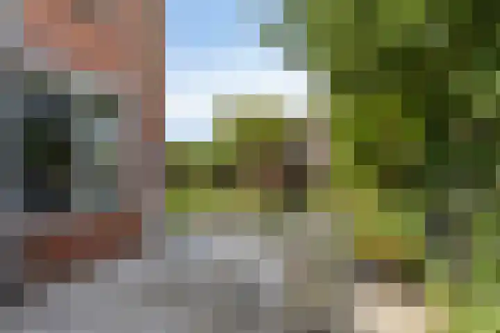 's-Gravenstraat 106 Clinge thumbnail 25