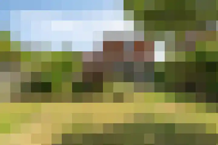 's-Gravenstraat 106 Clinge thumbnail 27