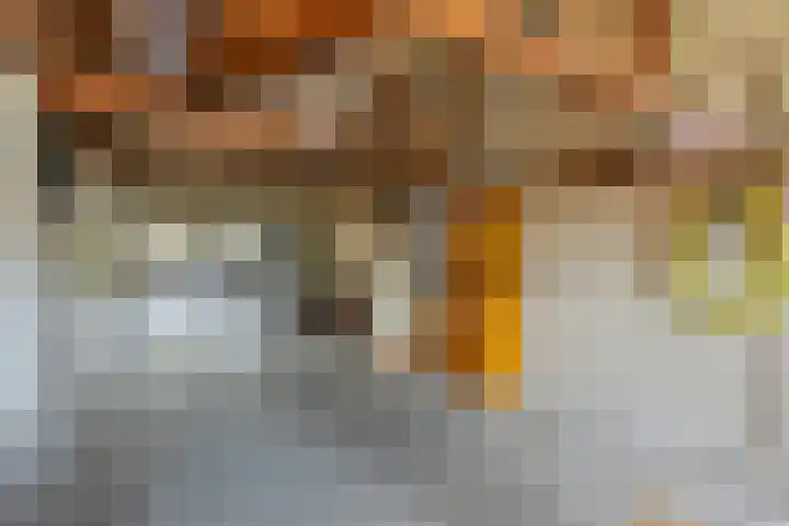 's-Gravenstraat 106 Clinge thumbnail 31