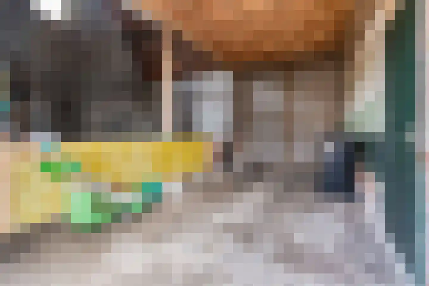 's-Gravenstraat 112 Clinge thumbnail 19