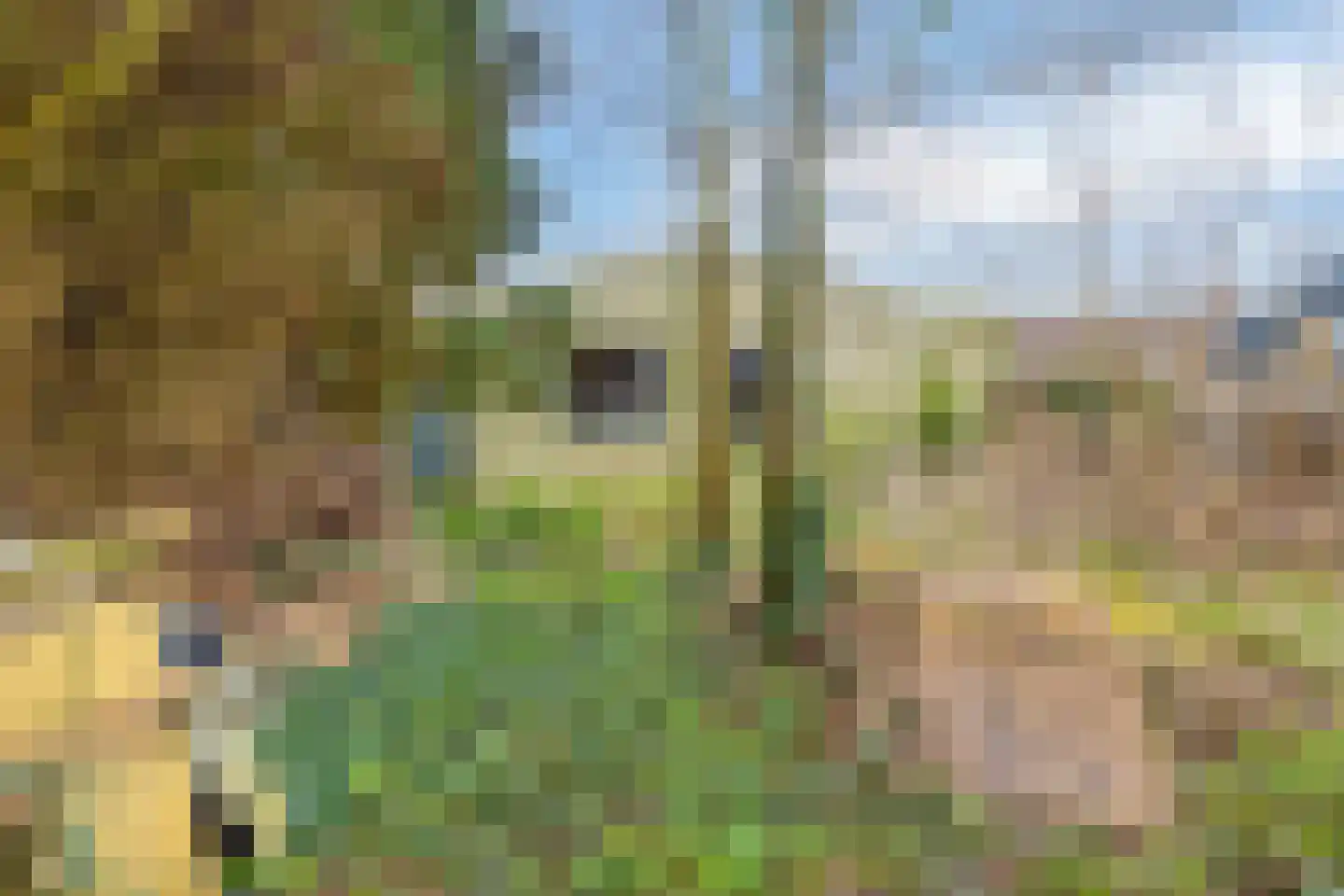 's-Gravenstraat 143 Clinge thumbnail 31
