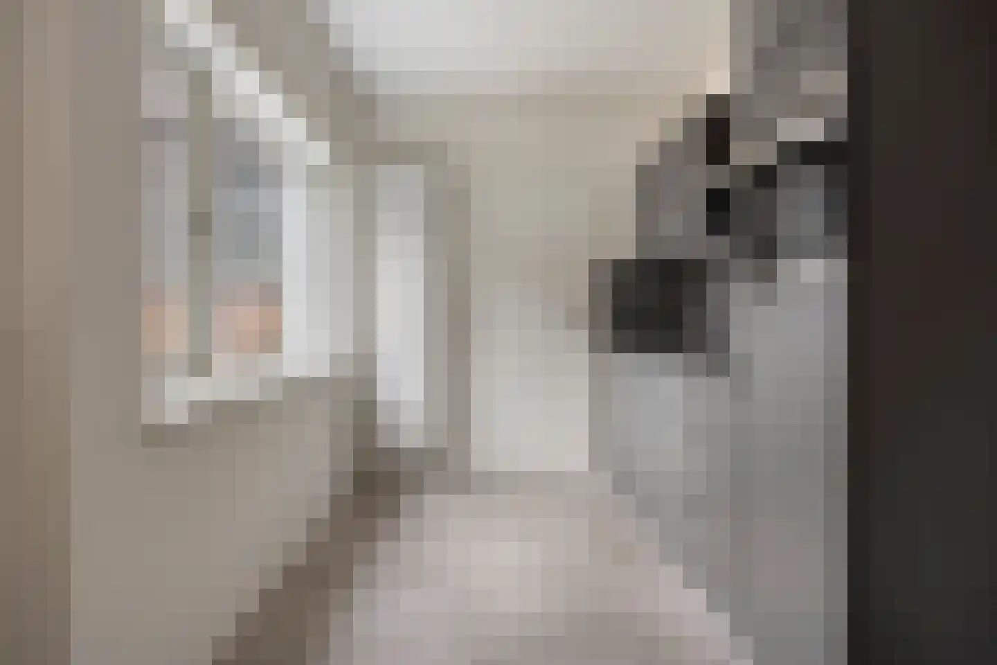 's-Gravenstraat 143 Clinge thumbnail 7
