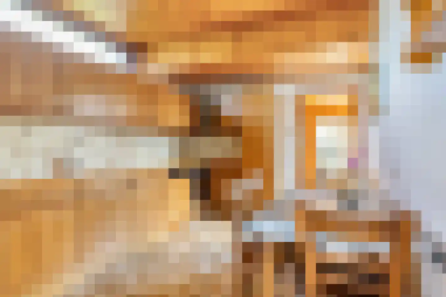's-Gravenstraat 15 Clinge thumbnail 9