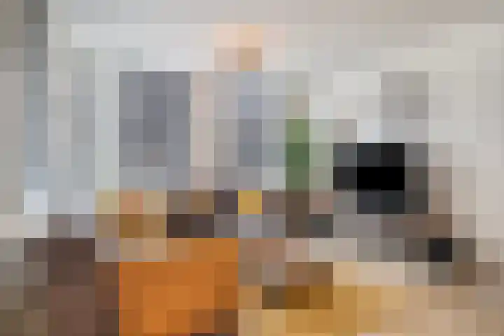 's-Gravenstraat 151 Clinge thumbnail 12