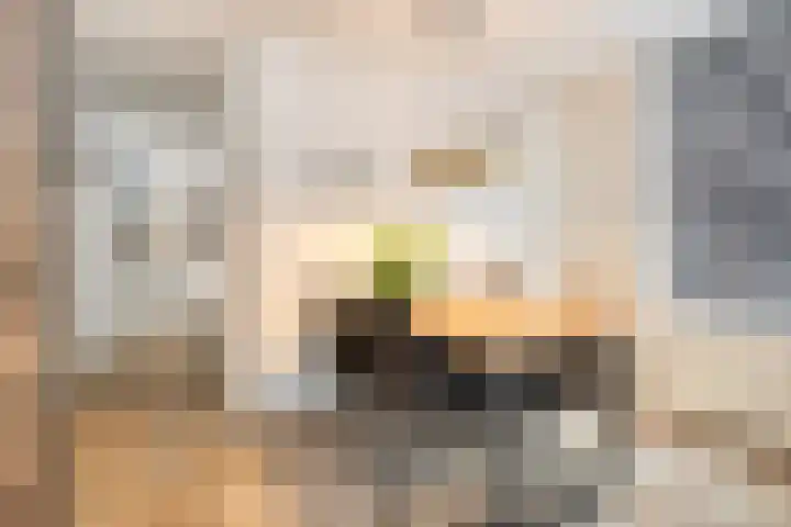 's-Gravenstraat 151 Clinge thumbnail 15