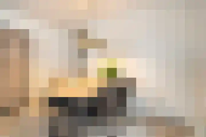's-Gravenstraat 151 Clinge thumbnail 16