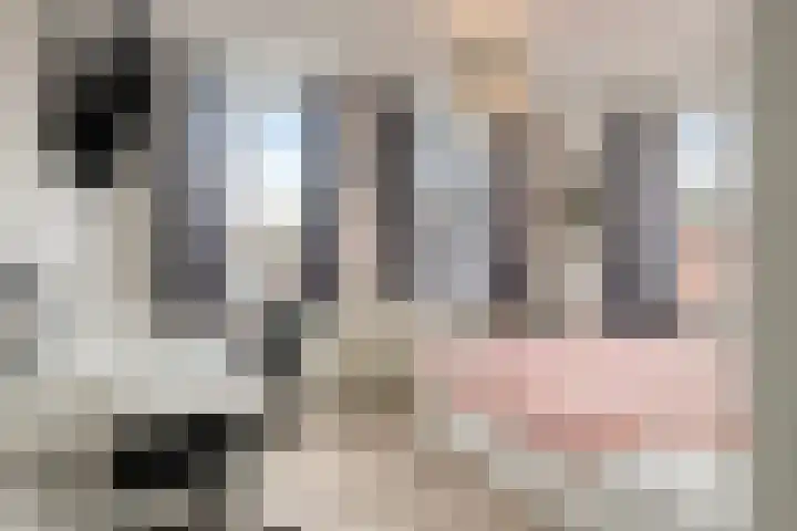 's-Gravenstraat 151 Clinge thumbnail 26