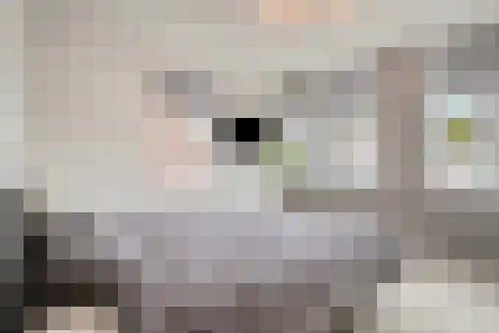 's-Gravenstraat 151 Clinge thumbnail 4