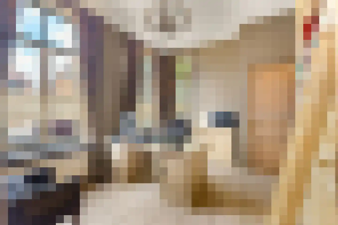 's-Gravenstraat 156 Clinge thumbnail 10