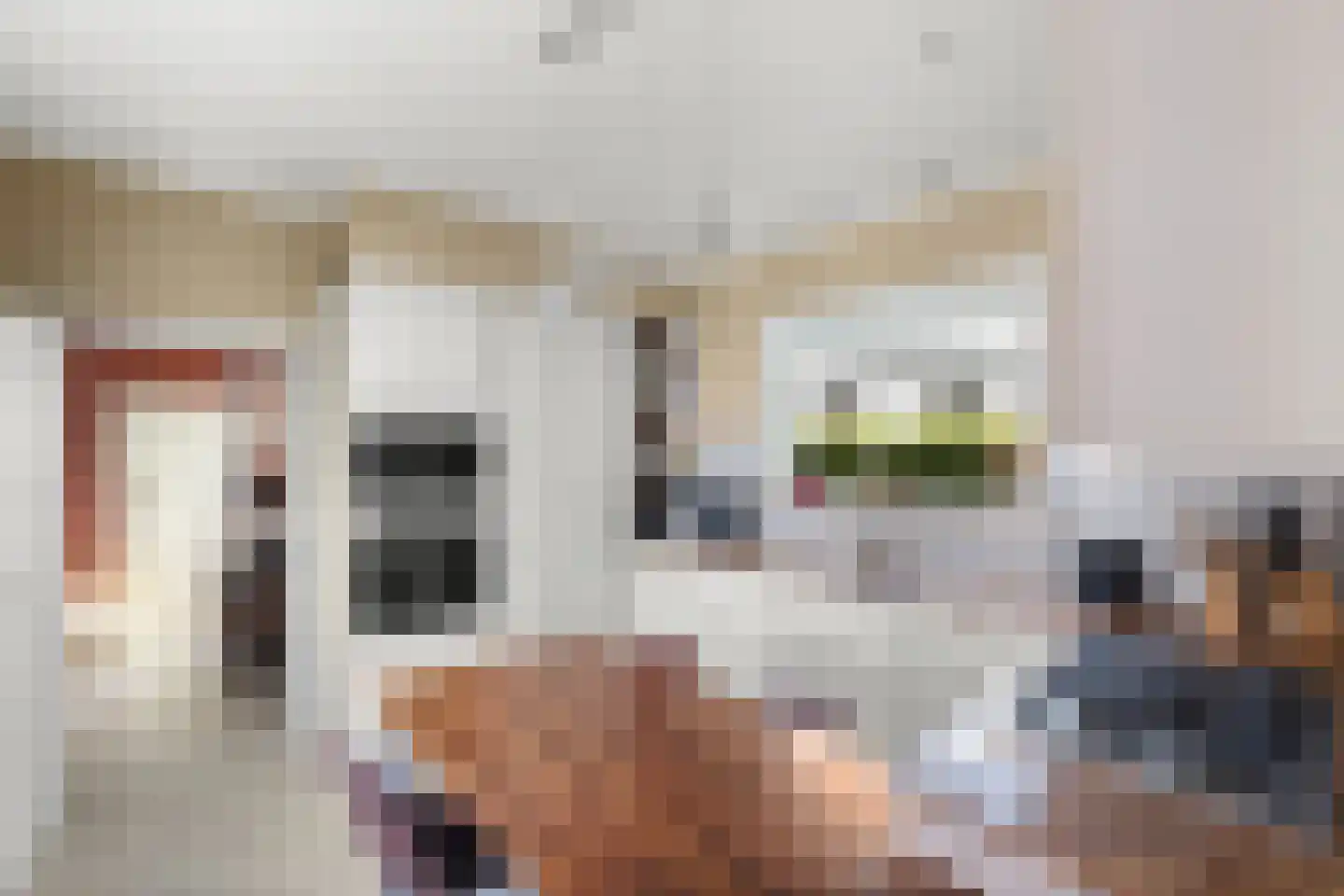 's-Gravenstraat 156 Clinge thumbnail 12