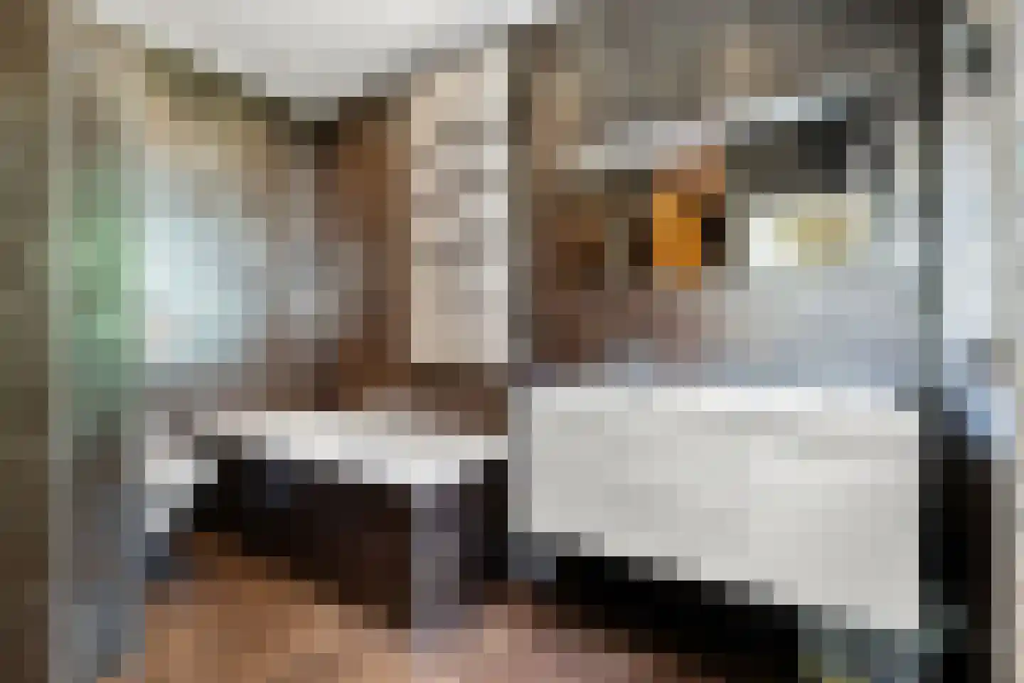 's-Gravenstraat 156 Clinge thumbnail 13