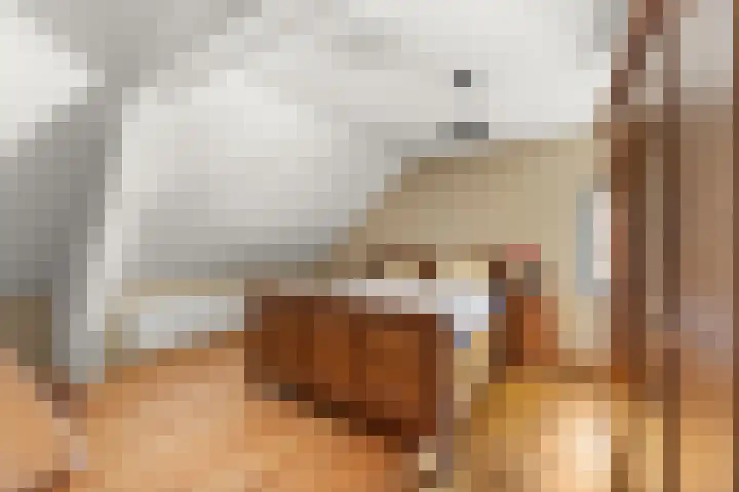 's-Gravenstraat 156 Clinge thumbnail 16