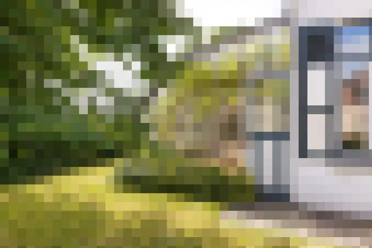 's-Gravenstraat 156 Clinge thumbnail 20