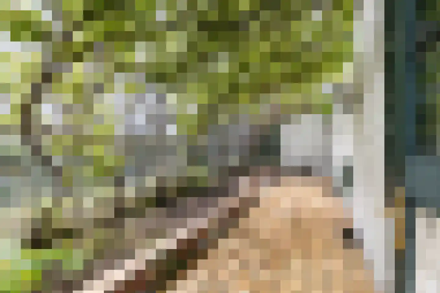's-Gravenstraat 156 Clinge thumbnail 21