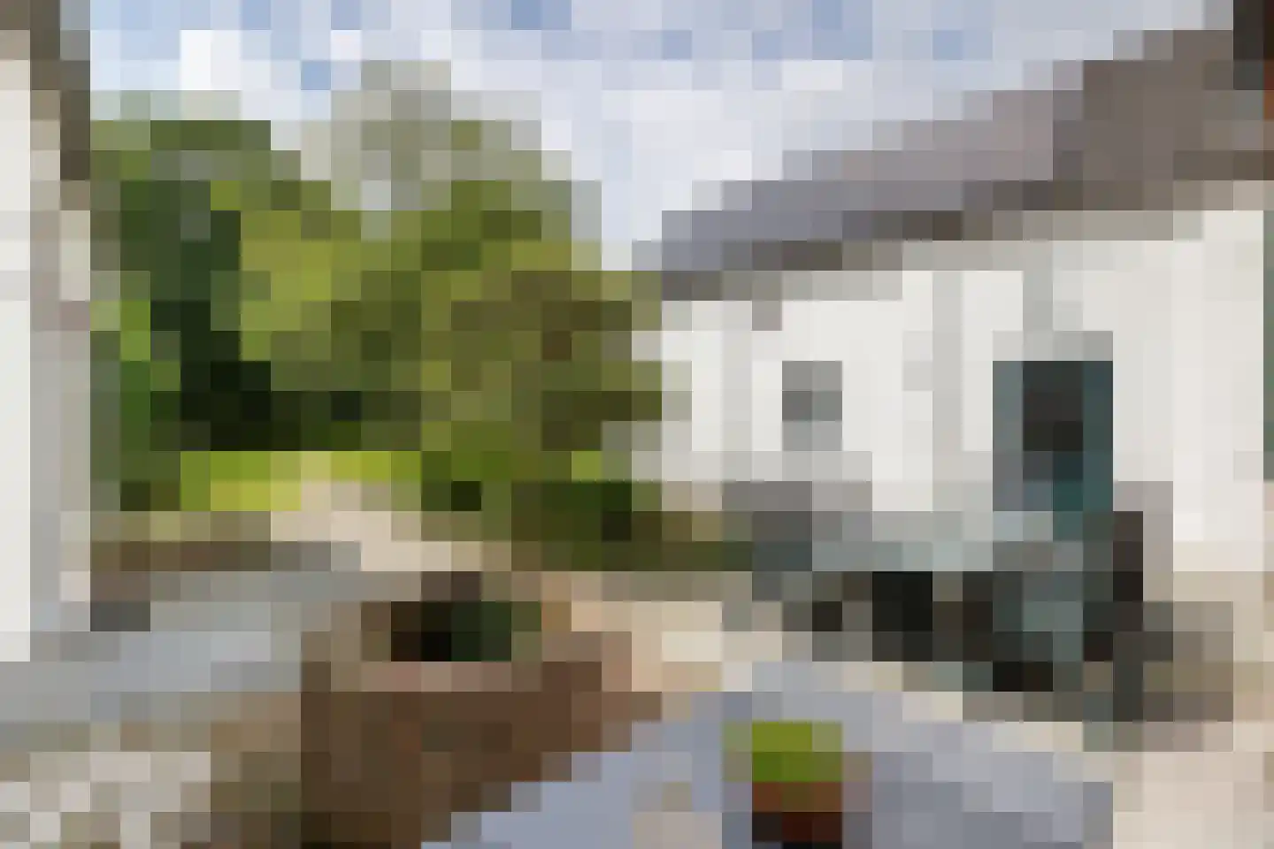 's-Gravenstraat 156 Clinge thumbnail 22