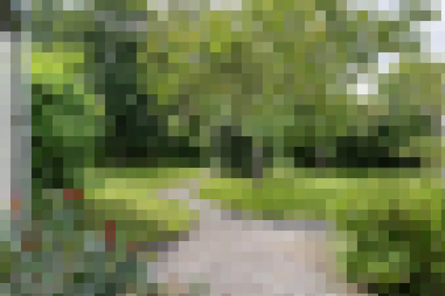 's-Gravenstraat 156 Clinge thumbnail 25
