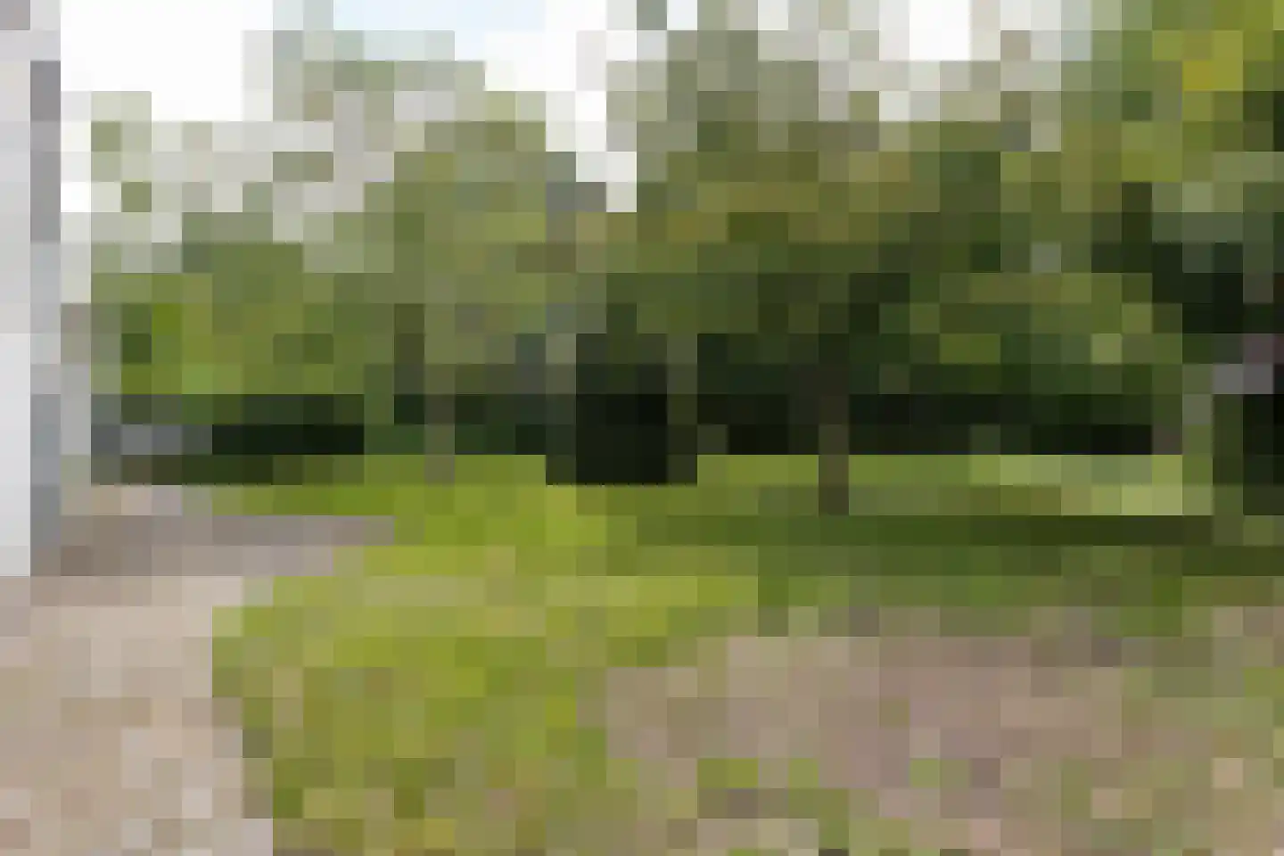 's-Gravenstraat 156 Clinge thumbnail 26
