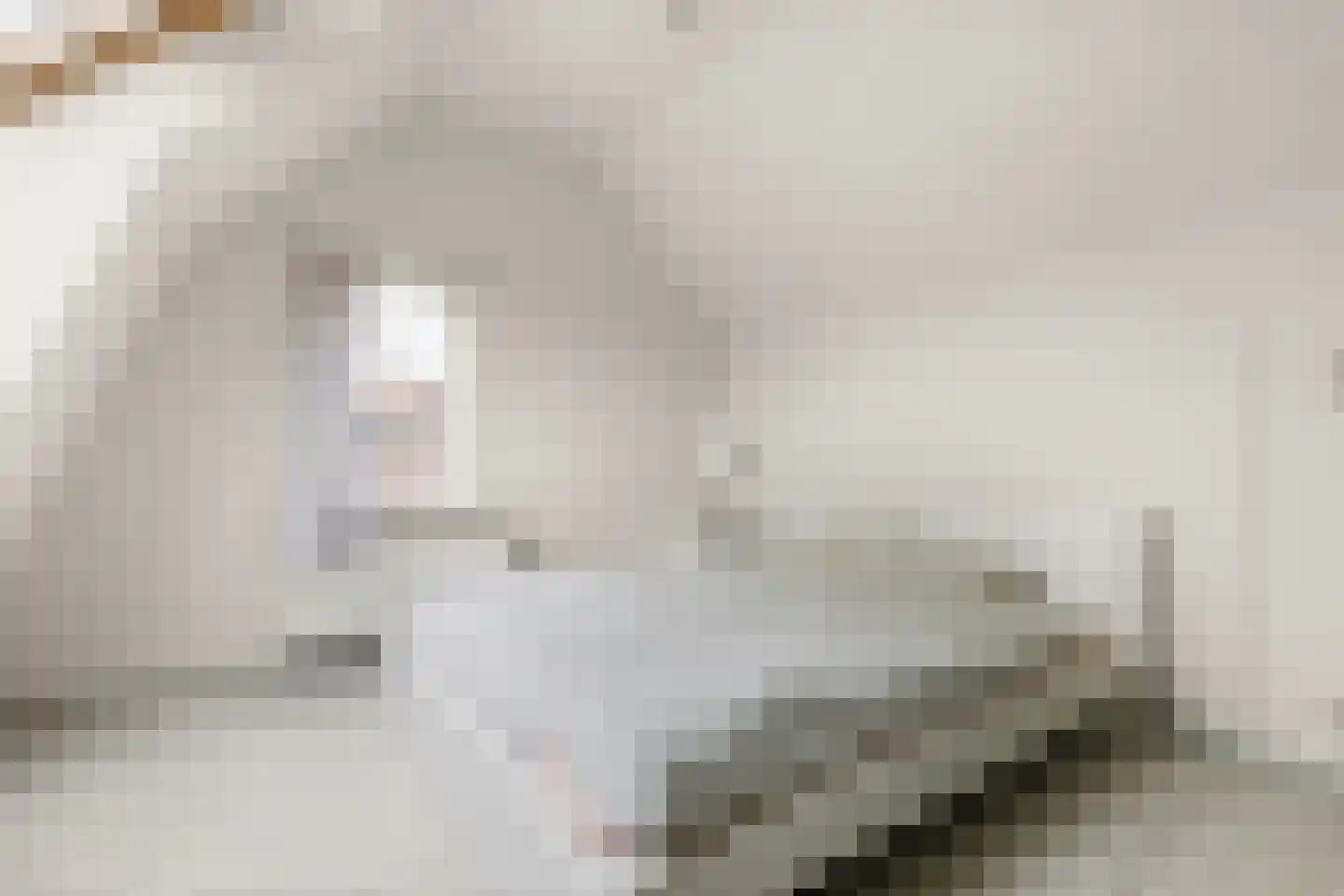 's-Gravenstraat 156 Clinge thumbnail 32