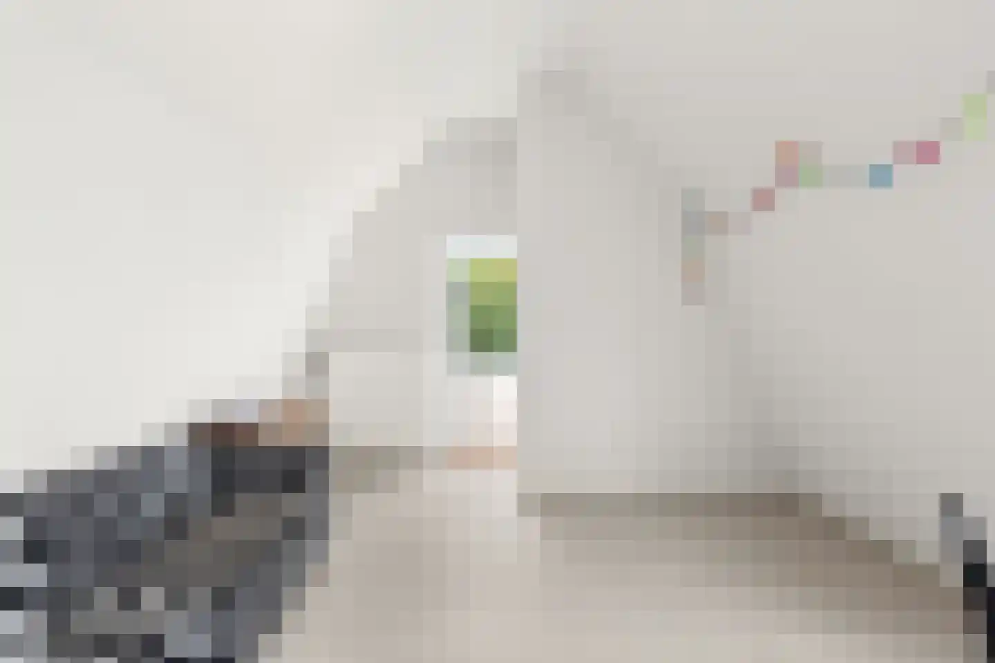 's-Gravenstraat 156 Clinge thumbnail 33