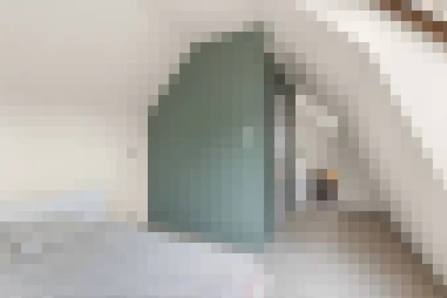 's-Gravenstraat 156 Clinge thumbnail 34