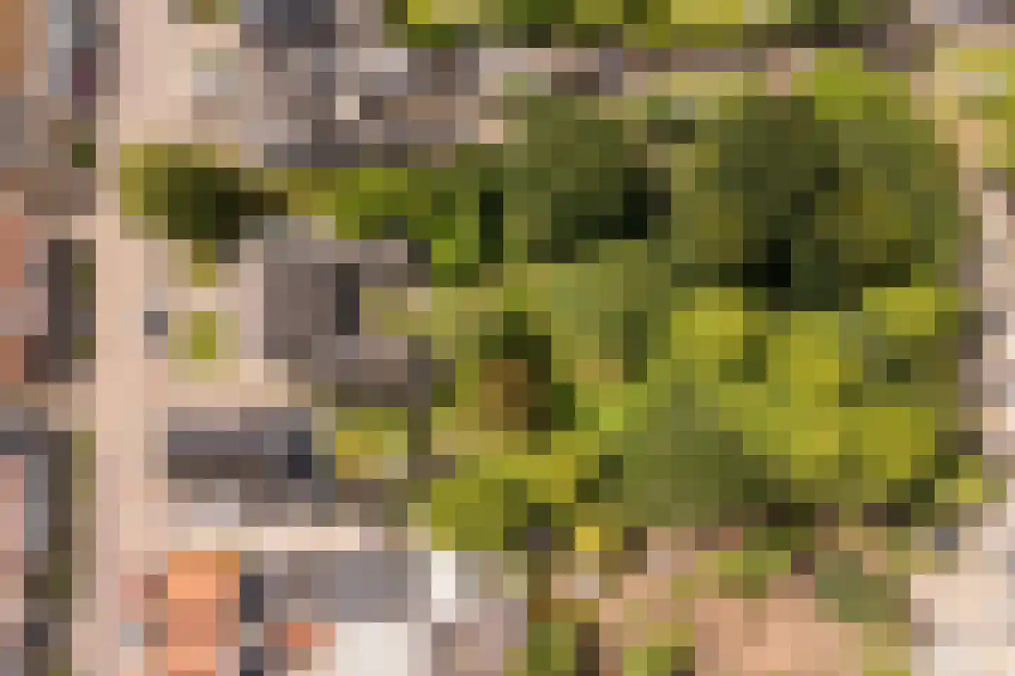 's-Gravenstraat 156 Clinge thumbnail 36