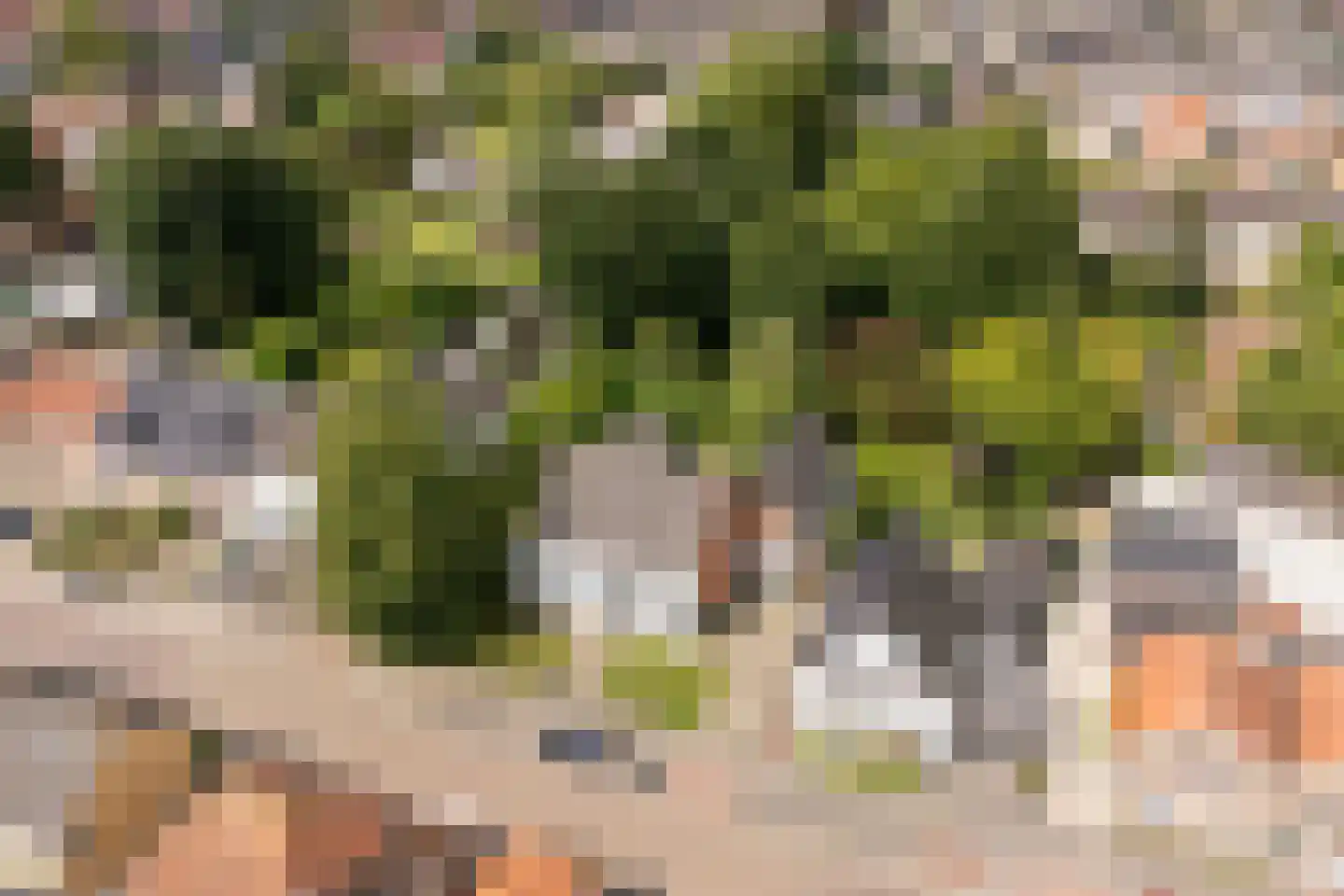 's-Gravenstraat 156 Clinge thumbnail 4