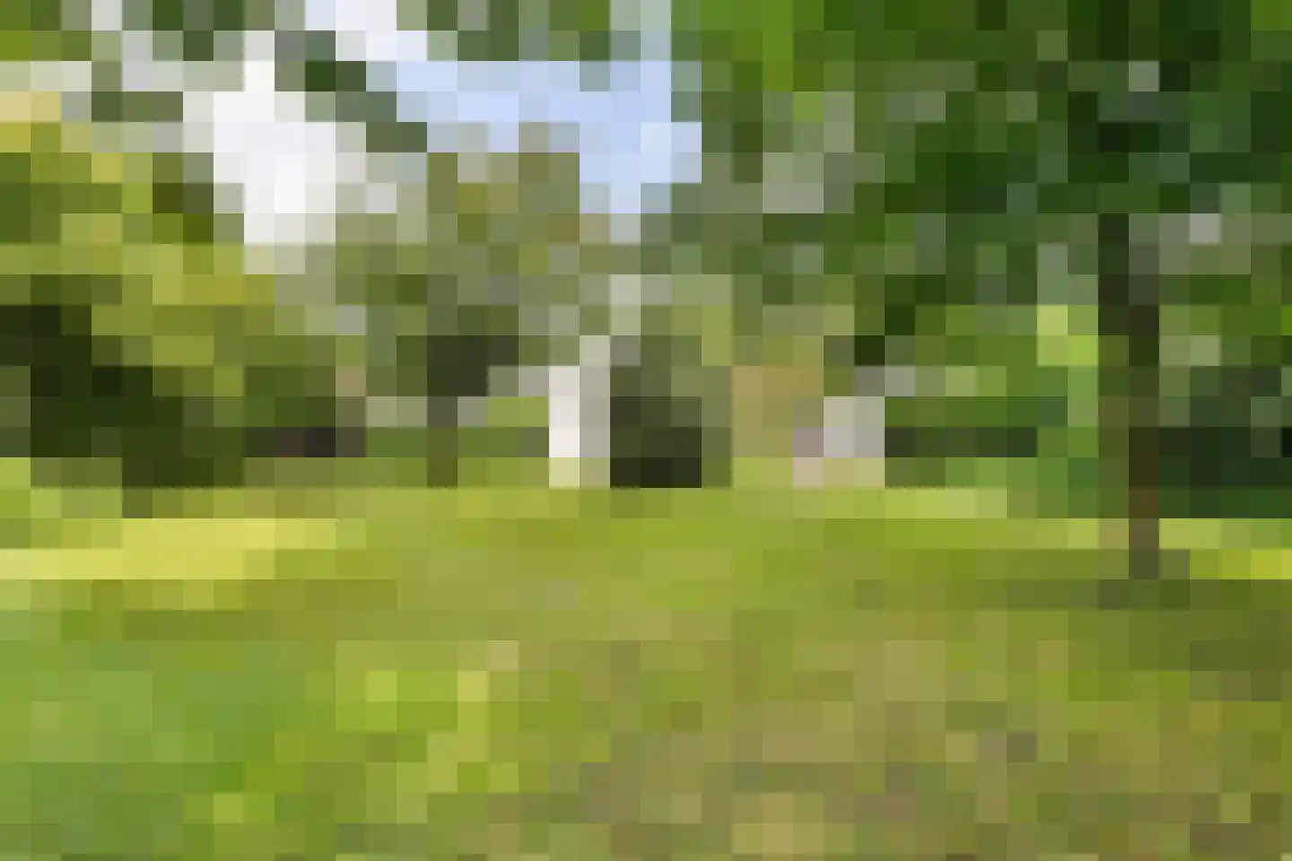 's-Gravenstraat 156 Clinge thumbnail 5