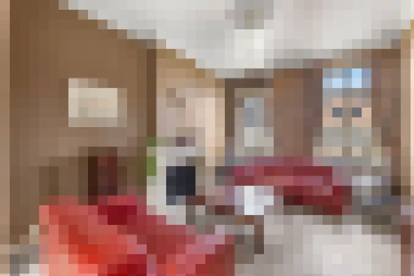 's-Gravenstraat 156 Clinge thumbnail 6