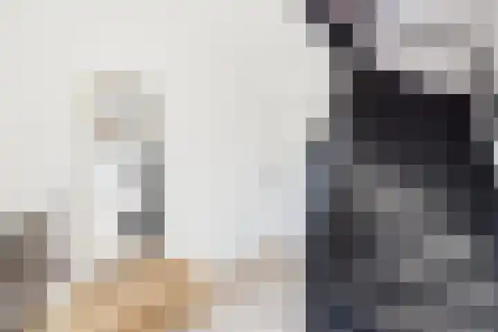 's-Gravenstraat 242 Clinge thumbnail 19