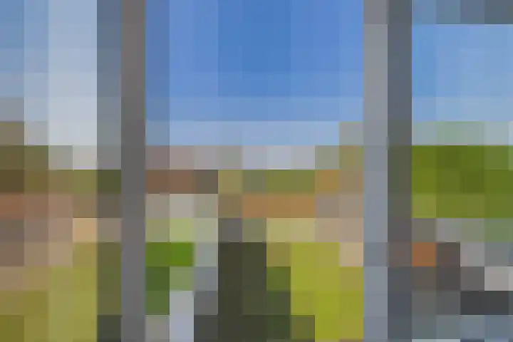 's-Gravenstraat 242 Clinge thumbnail 27