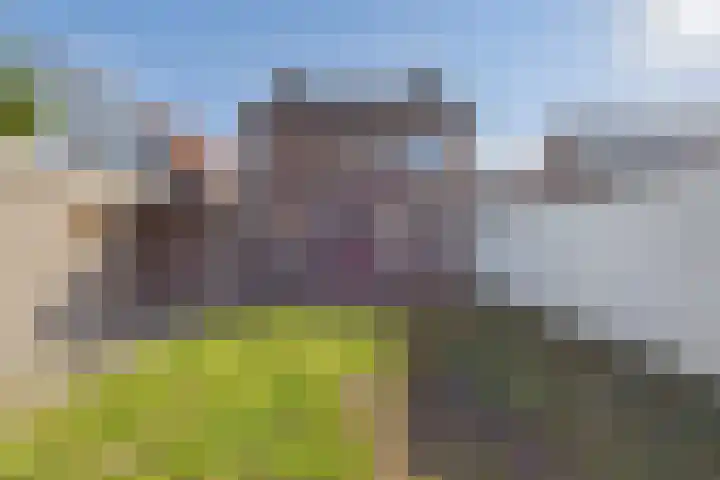 's-Gravenstraat 242 Clinge thumbnail 31