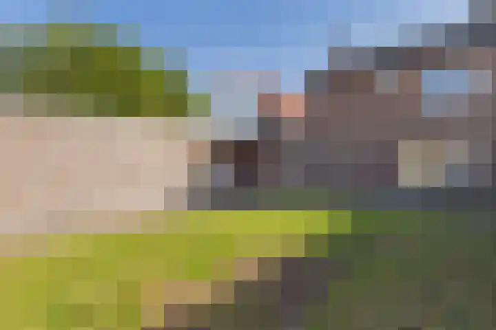 's-Gravenstraat 242 Clinge thumbnail 32